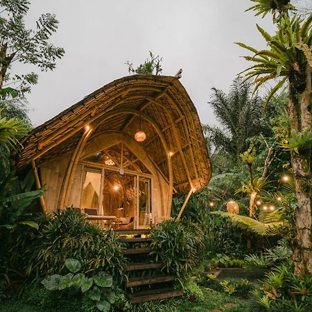 Вілла Arcada Bali Bamboo House Сідемен Екстер'єр фото