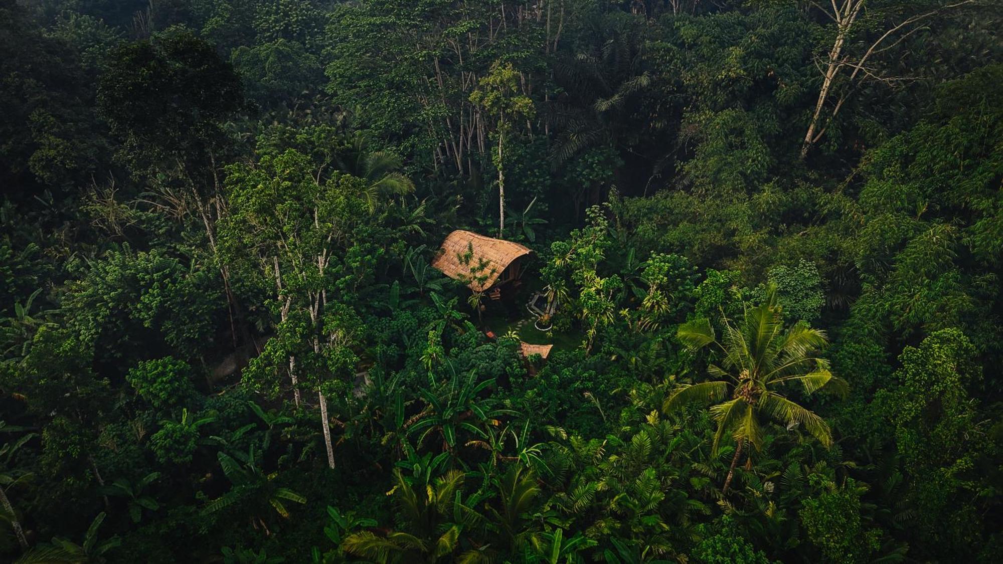 Вілла Arcada Bali Bamboo House Сідемен Екстер'єр фото