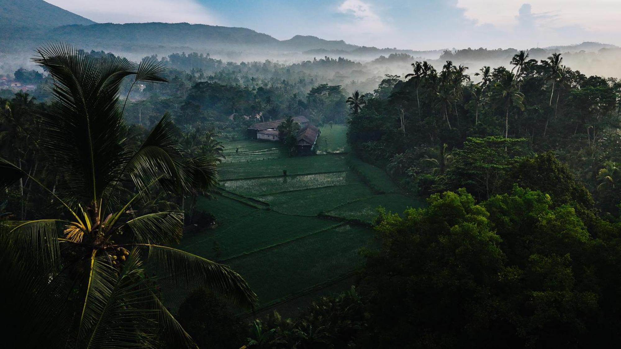 Вілла Arcada Bali Bamboo House Сідемен Екстер'єр фото