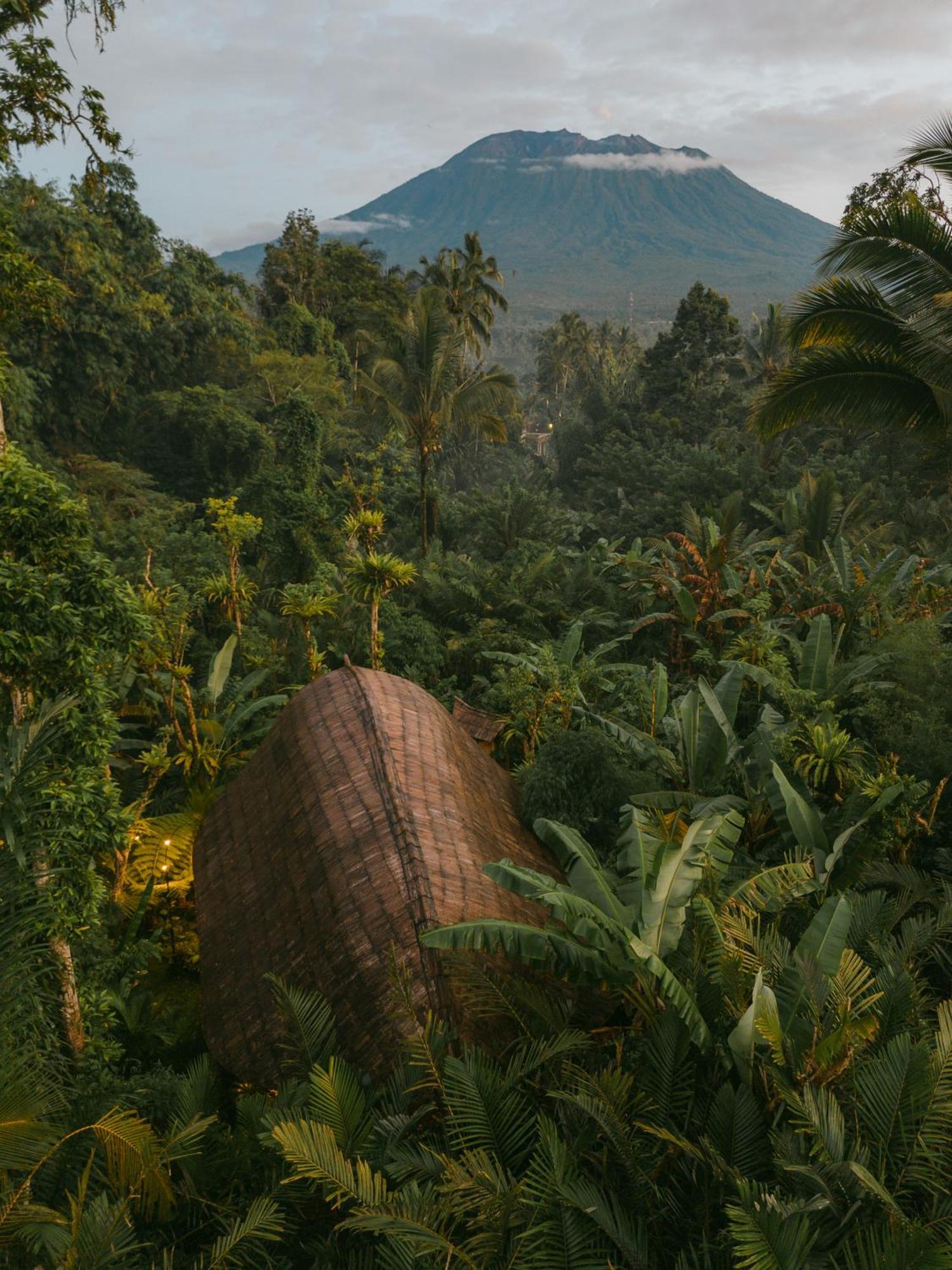 Вілла Arcada Bali Bamboo House Сідемен Екстер'єр фото